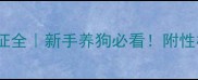拉布拉多犬种特征全新手养狗必看附性格养护避坑指南