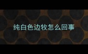 纯白色边牧怎么回事