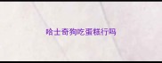 哈士奇狗吃蛋糕行吗
