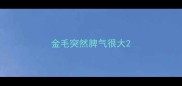 金毛突然脾气很大