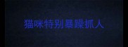 猫咪特别暴躁抓人