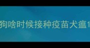 狗啥时候接种疫苗犬瘟