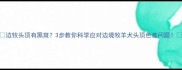 边牧头顶有黑斑3步教你科学应对边境牧羊犬头顶色差问题