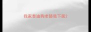 我家泰迪狗老舔我下面
