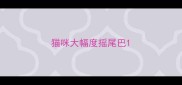 猫咪大幅度摇尾巴