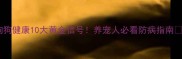 狗狗健康10大黄金信号养宠人必看防病指南