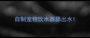 自制宠物饮水器舔出水