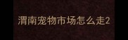 渭南宠物市场怎么走