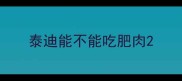 泰迪能不能吃肥肉
