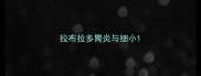 拉布拉多胃炎与细小