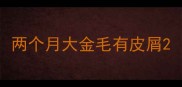 两个月大金毛有皮屑