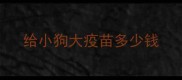 给小狗大疫苗多少钱