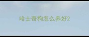 哈士奇狗怎么养好