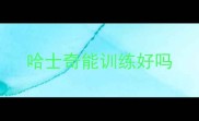 哈士奇能训练好吗