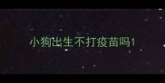 小狗出生不打疫苗吗