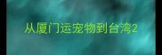 从厦门运宠物到台湾