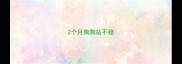 2个月狗狗站不稳