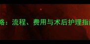 上海猫咪绝育手术全攻略流程费用与术后护理指南附权威医院推荐