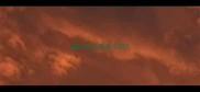 重庆哈士奇多少钱