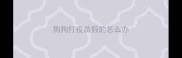 狗狗打疫苗假的怎么办