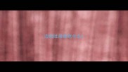 边牧吐后给吃什么