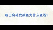 哈士奇毛发颜色为什么变浅