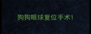 狗狗眼球复位手术