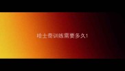 哈士奇训练需要多久