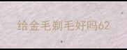 给金毛剃毛好吗6