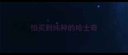 怕买到纯种的哈士奇