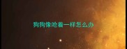 狗狗像呛着一样怎么办