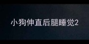 小狗伸直后腿睡觉