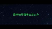 猫咪怕热猫咪会怎么办