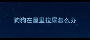 狗狗在屋里拉尿怎么办