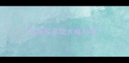 拉布拉多幼犬嘴形状