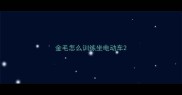 金毛怎么训练坐电动车
