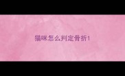 猫咪怎么判定骨折