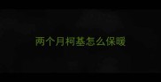两个月柯基怎么保暖