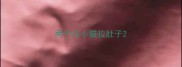 两个月小猫拉肚子