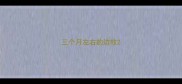 三个月左右的边牧