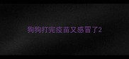 狗狗打完疫苗又感冒了