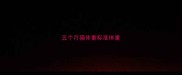 五个月猫体重标准体重
