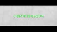 小狗不听话可以打吗