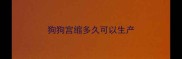 狗狗宫缩多久可以生产