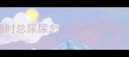 边境牧羊犬走路时总尿尿怎么办5大原因及解决方法全
