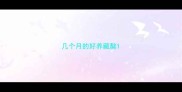 几个月的好养藏獒