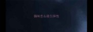 猫咪怎么吸引异性