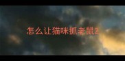 怎么让猫咪抓老鼠