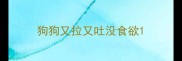 狗狗又拉又吐没食欲