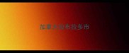 加拿大拉布拉多市